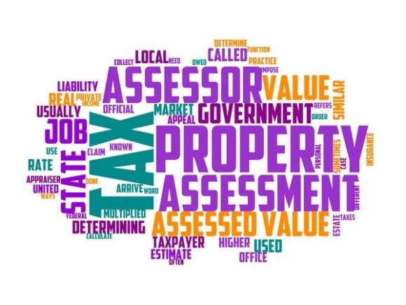 Claims Assessor Typography Tumbler