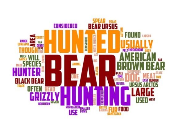 Deer Hunting Typography Book Cover