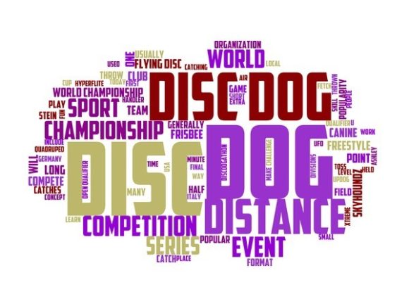Disc Dog Typography Crafting