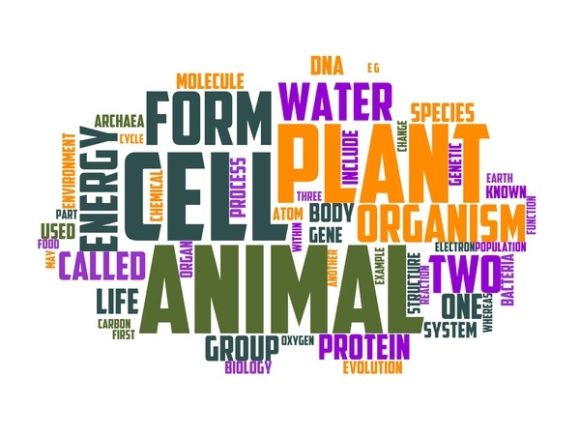 Ecology Typography Background