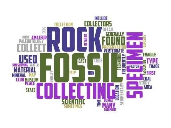 Fossil Hunting Typography Crafting: Where Ancient Wonder Meets Modern Design